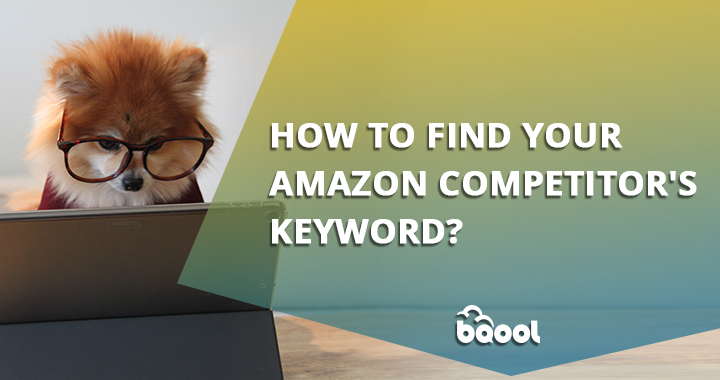 Amazon Competitor's Keywords