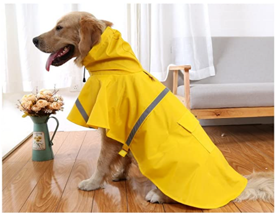 pet raincoat