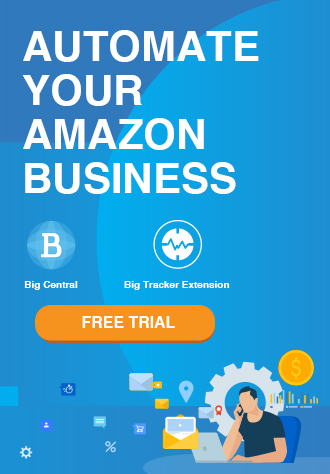 amazon private label business plan